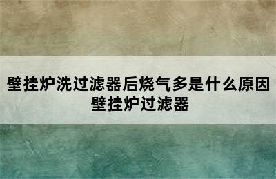 壁挂炉洗过滤器后烧气多是什么原因 壁挂炉过滤器